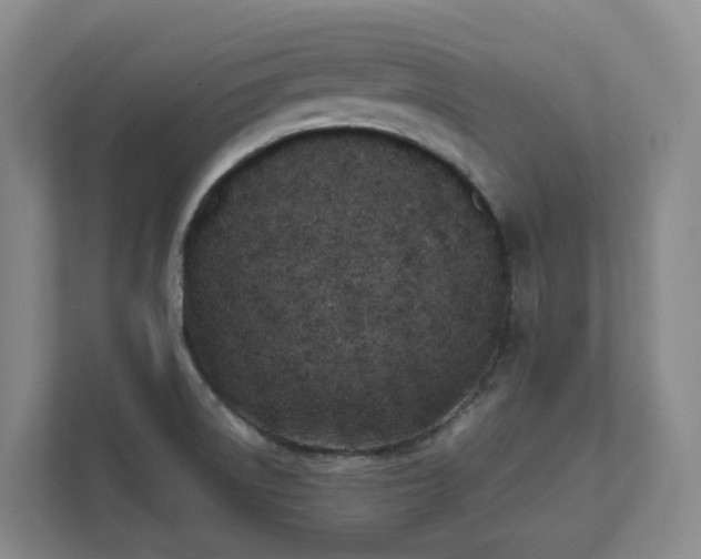 X0000111491522200907210958