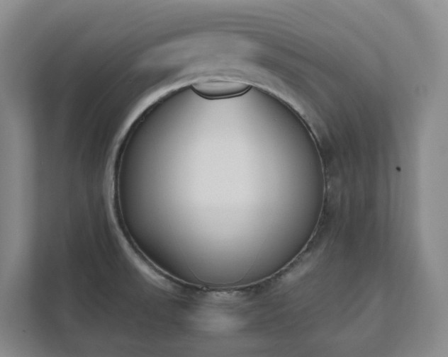 X0000111491523200907210958