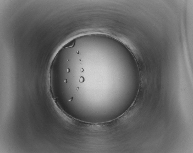 X0000111491524200907210958