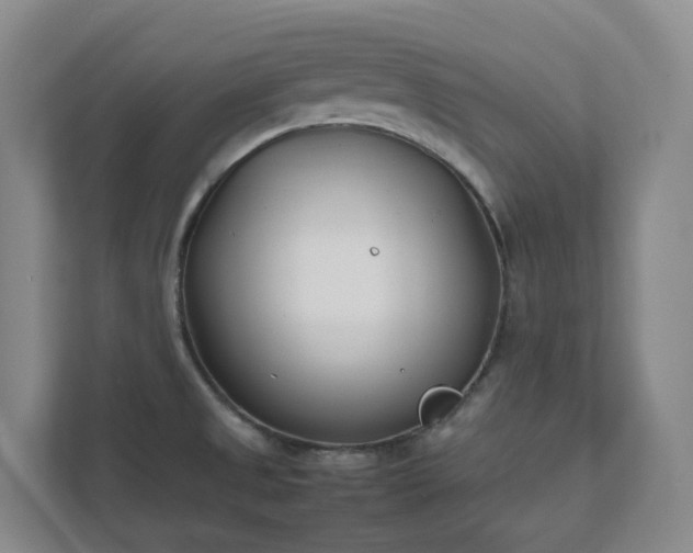 X0000111491525200907210958