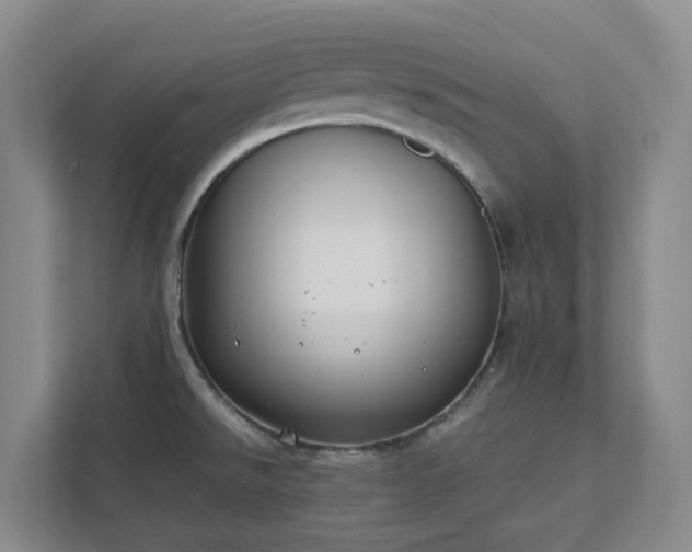 X0000111491526200907210958