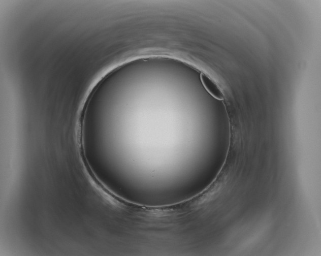 X0000111491527200907210958