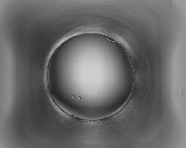 X0000111491528200907210958