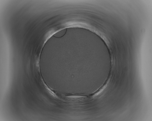 X0000111491529200907210958