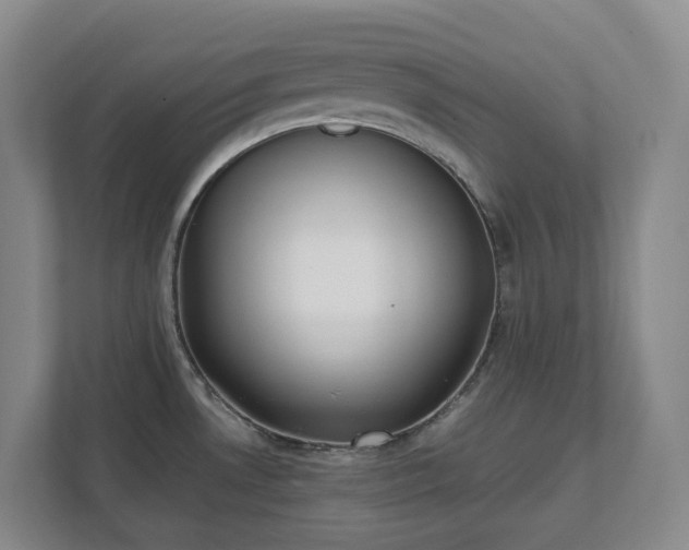 X0000111491530200907210958