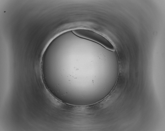 X0000111491532200907210958