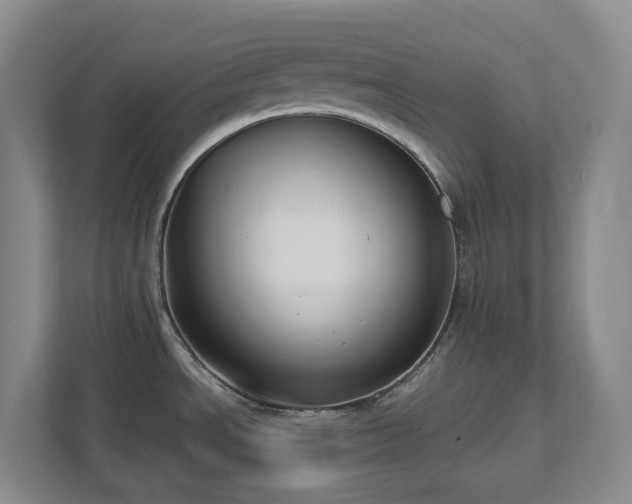 X0000111491534200907210959