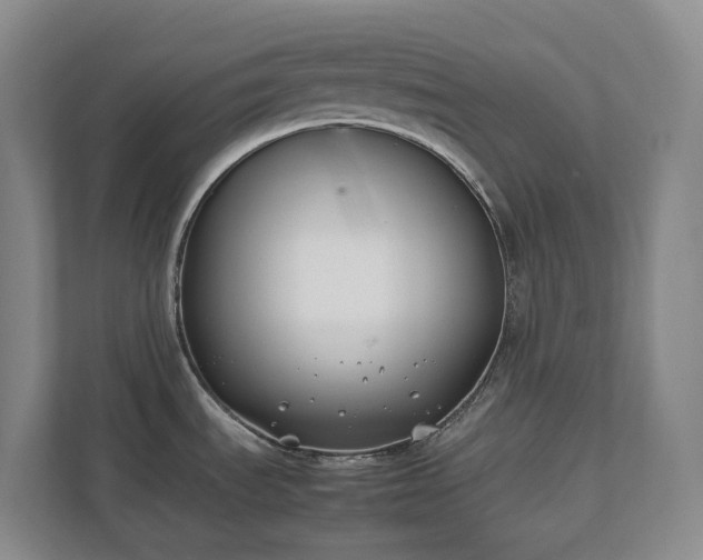 X0000111491535200907210959