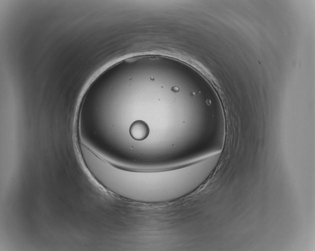 X0000111491536200907210959