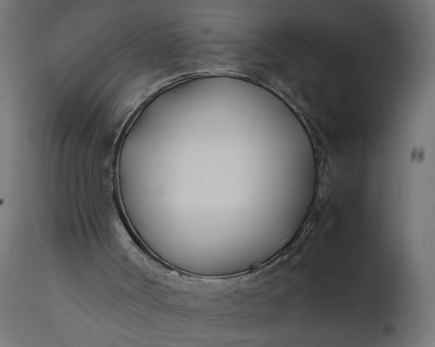 X0000111490002200907281239