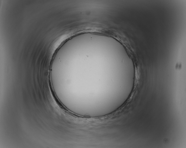 X0000111490003200907281239