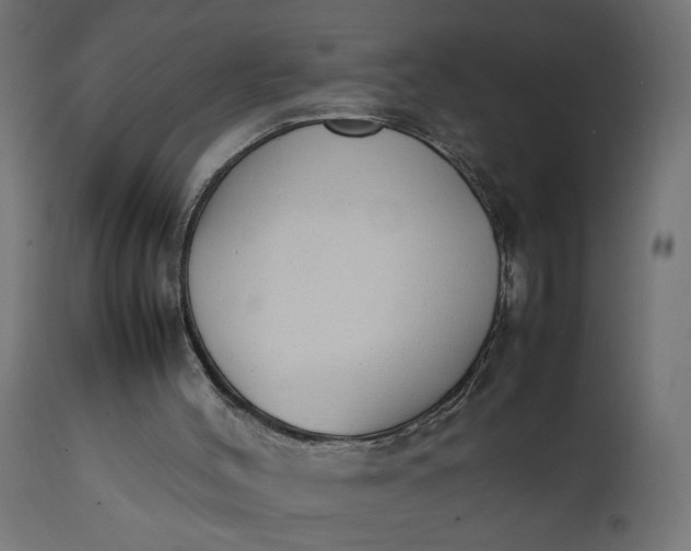 X0000111490004200907281239