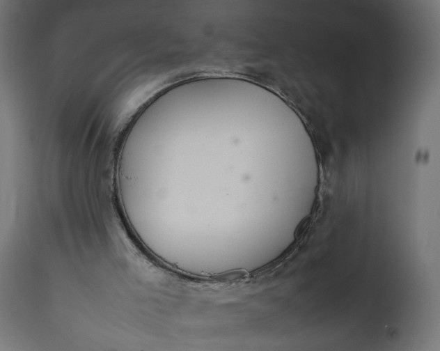 X0000111490005200907281239