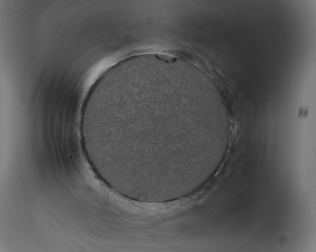 X0000111490006200907281239