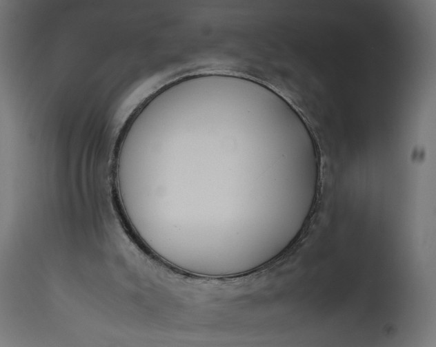 X0000111490007200907281239