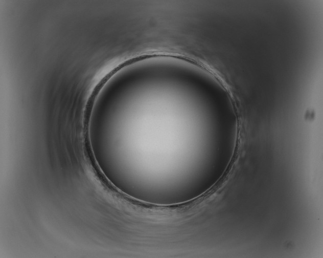 X0000111490008200907281239