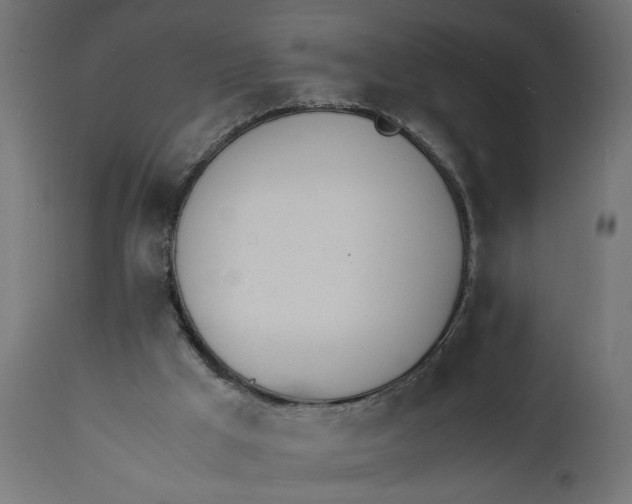 X0000111490009200907281239