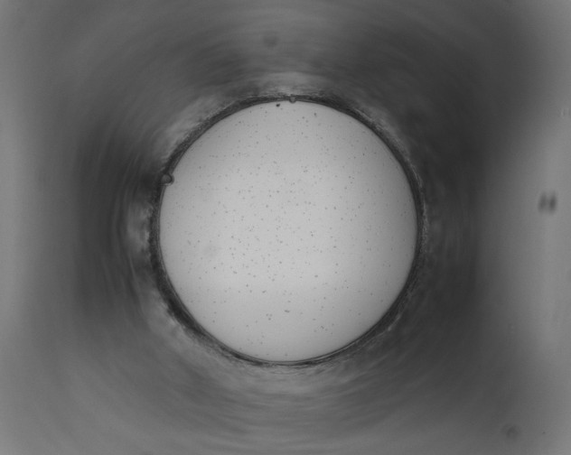 X0000111490010200907281239