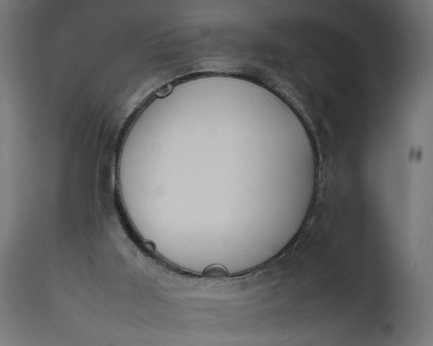 X0000111490011200907281239