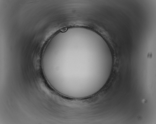 X0000111490012200907281239