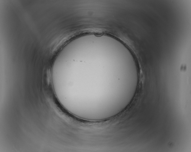 X0000111490013200907281239