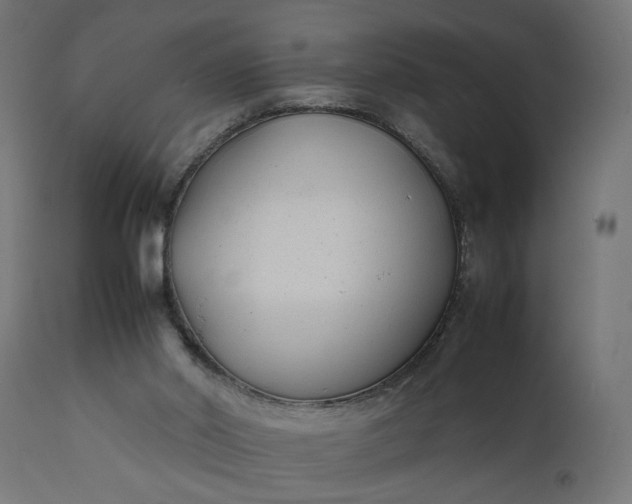 X0000111490014200907281239