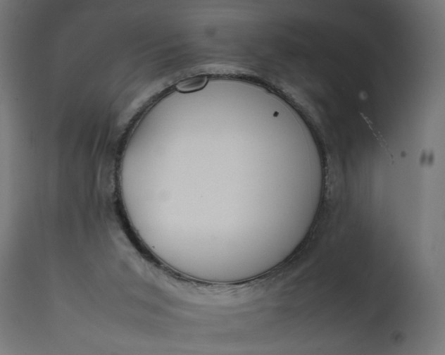 X0000111490015200907281239