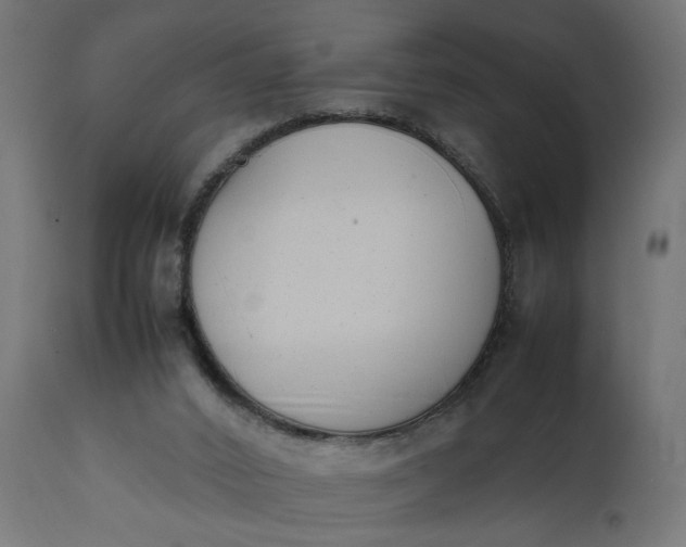 X0000111490016200907281239