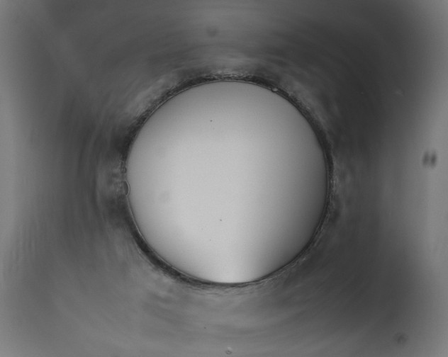 X0000111490017200907281239