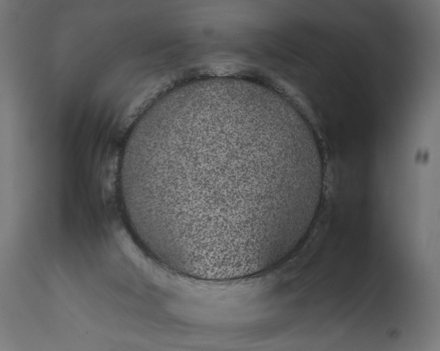 X0000111490018200907281239