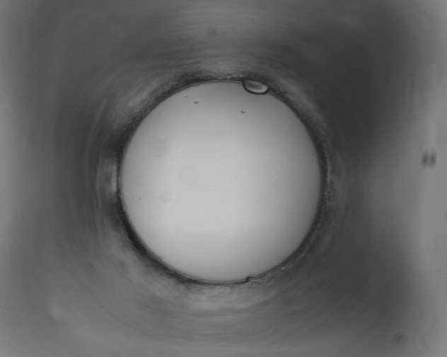 X0000111490021200907281239