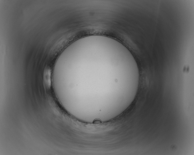 X0000111490022200907281239