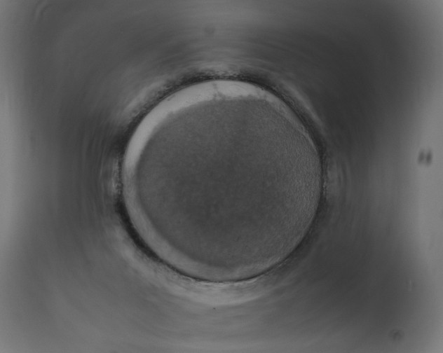 X0000111490023200907281239