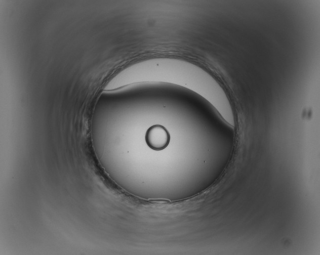 X0000111490025200907281239