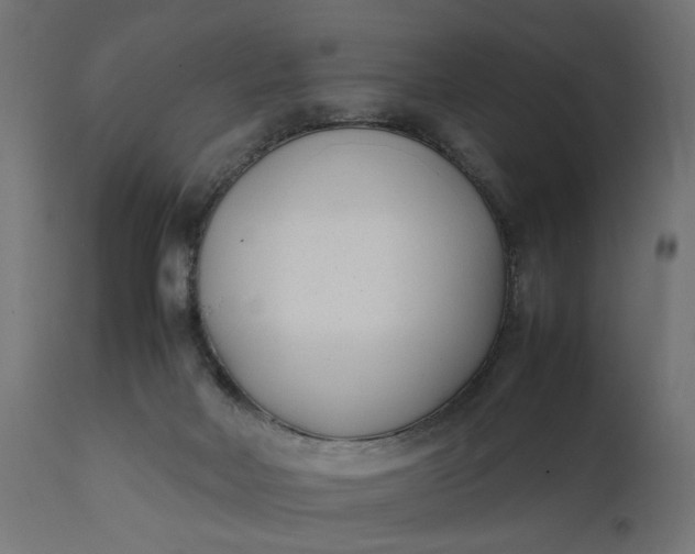 X0000111490026200907281239