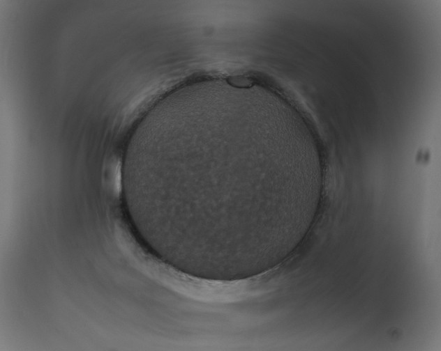 X0000111490027200907281238