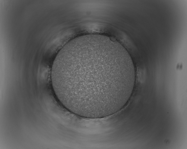 X0000111490029200907281238