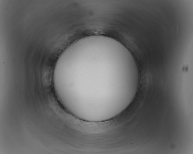 X0000111490030200907281238