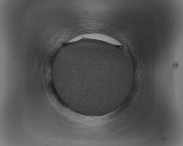 X0000111490031200907281238