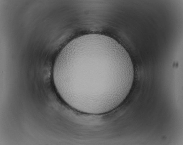 X0000111490032200907281238