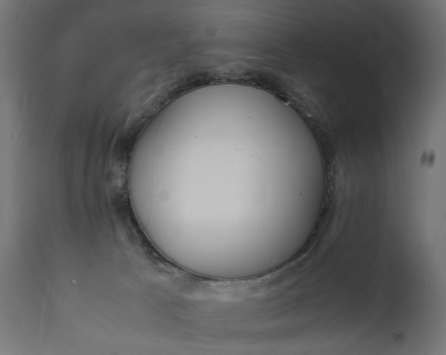 X0000111490033200907281238