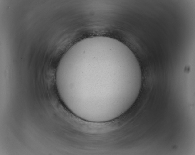 X0000111490034200907281238