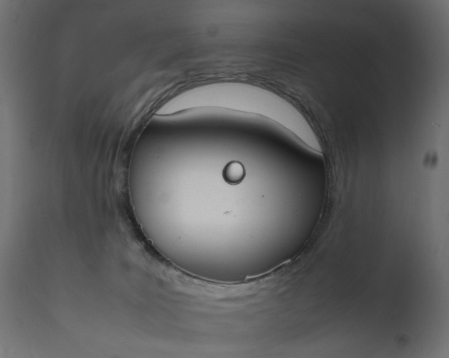 X0000111490035200907281238