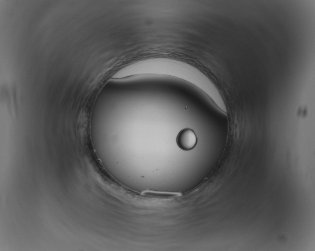 X0000111490036200907281238