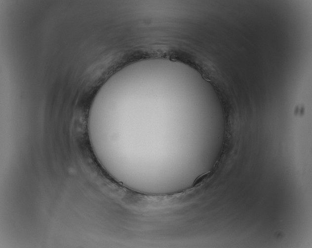 X0000111490037200907281238