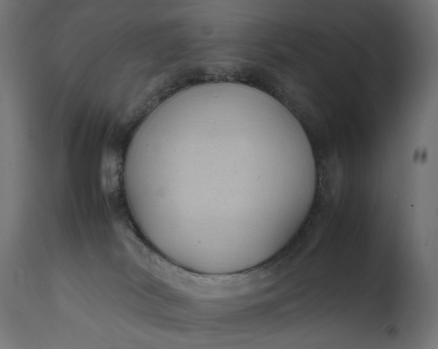 X0000111490038200907281238