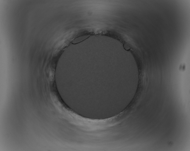 X0000111490039200907281238