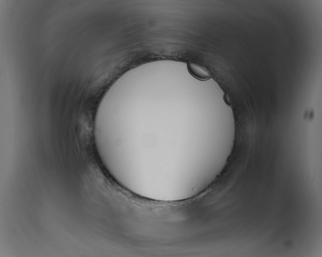 X0000111490040200907281238