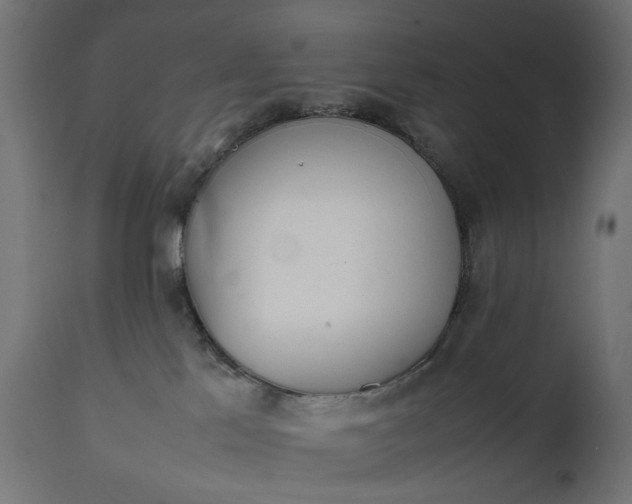 X0000111490041200907281238