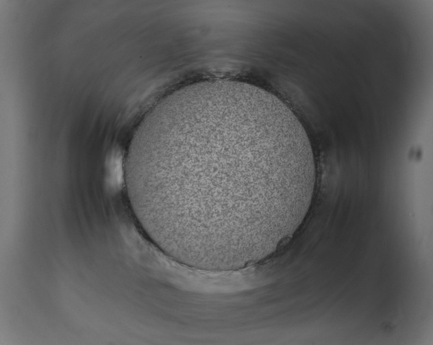 X0000111490042200907281238